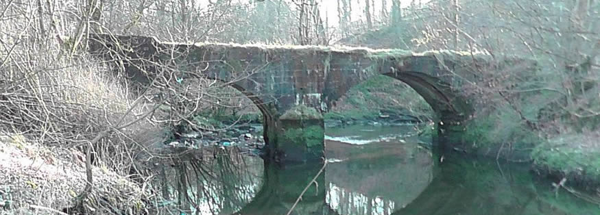 Viewpark Conservation Trust