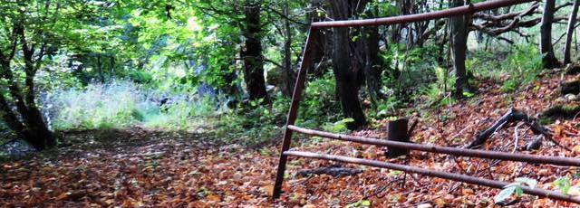 Viewpark Gate640x230